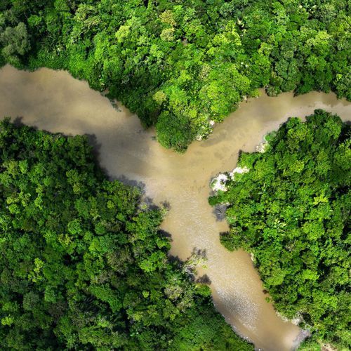 Can New Louisiana Regulator Balance Environmental Protection with Industrial Growth?