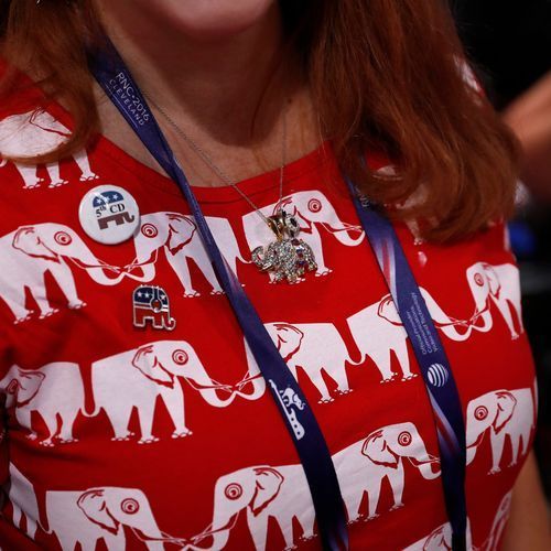 GOP chair says Trump 'has completely remade the Republican Party'