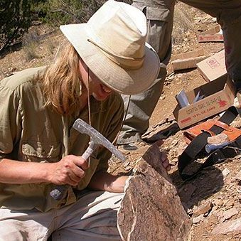 Complex life emerged 591 million years ago, but how and why?