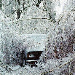 Reopening dates set for 19 state campgrounds after ice storm cleanup
