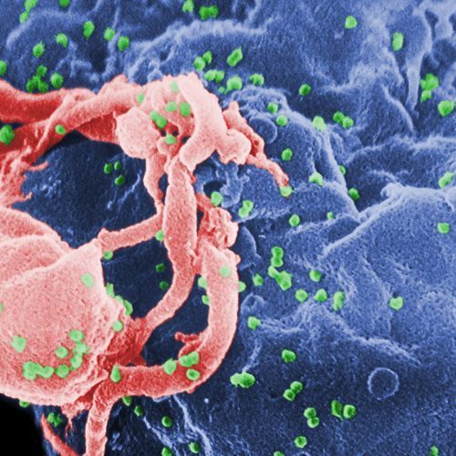 The Partnership to End HIV, STDs, and Hepatitis Urges Congress to Reject Medicaid Cuts and Misguided Work Requirements