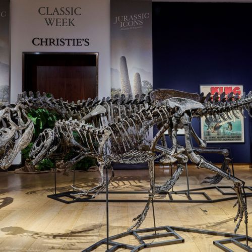 How the dinosaur fossil trade is hurting science
