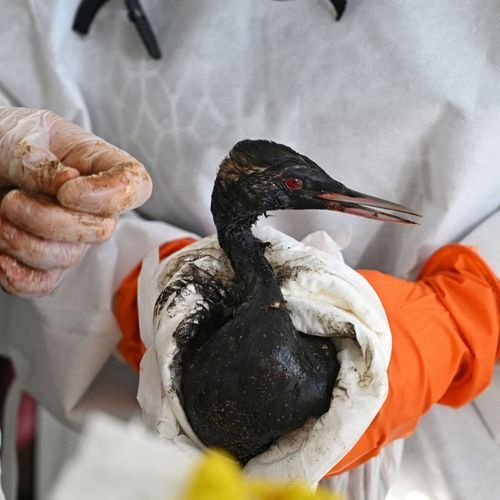 Nigeria's Renaissance stops pipeline after B-Dere oil spill