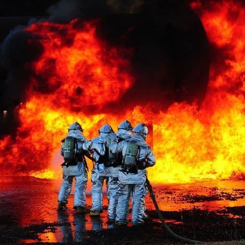 Dortmund: Firefighter Rescues Rehbock From Canal