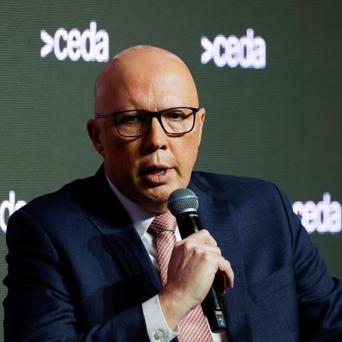 ‘Go home to Melbourne’: Liberal moderates turn on party after historic election defeat