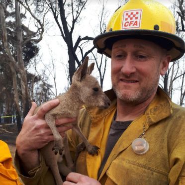 Heritage push for phone box that was lifeline during bushfires