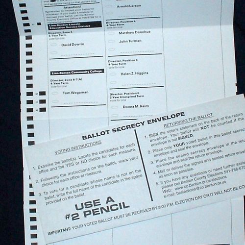 How People with Disabilities Navigate Voting Hurdles | News Channel 3-12