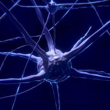 VIT and Gleneagles sign MoU on neuroscience research