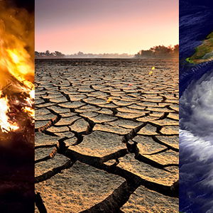 Somalia's Exports Are Threatened By Climate Change and Conflict - What 30 Years of Data Tell Us