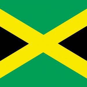Black man, born on Army base in Germany, is deported to Jamaica. A country he has never been to.