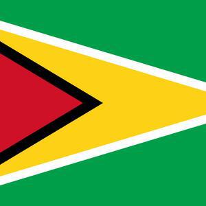 4 Remanded for Berbice Chinese Supermarket Robbery - INews Guyana