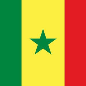 How Overfishing in Senegal Waters Contributed to a Surge in Illegal Migration – The North Africa Post