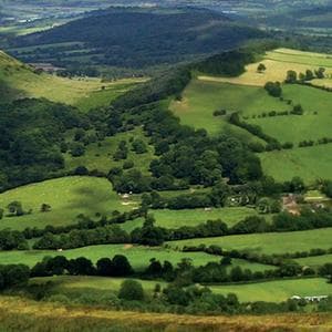 Six members of illegal steroids gang in Shropshire sentenced