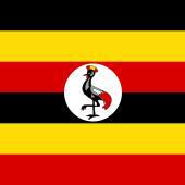 The Weaponization of Tribe in African Politics: Uganda’s Muhoozi and the Perils of Divisive Rhetoric » The Hoima Post