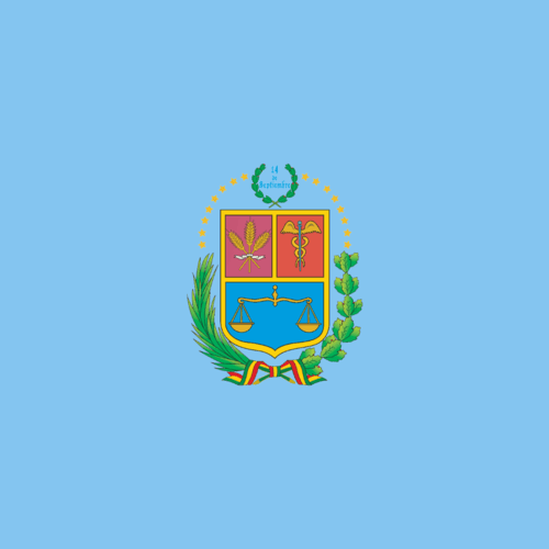 Former Bolivian minister arrested for illicit enrichment