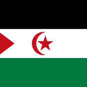 Western Sahara. 52 Years After Its Foundation, the Frente POLISARIO Lives and Consolidates - Latin American Summary