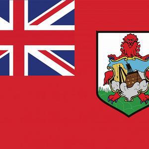 Government Launches IT Apprenticeship