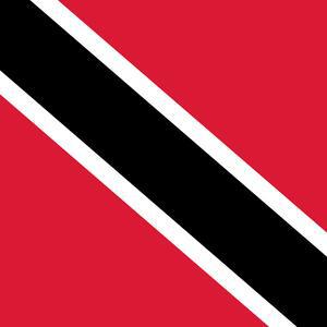 Tobago's coral reefs brace for ‘imminent threat’