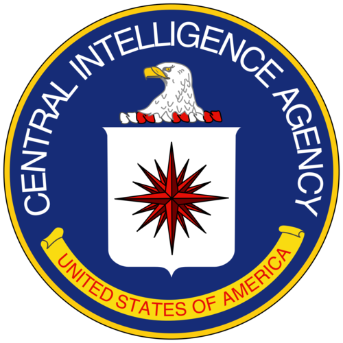 Dem Rep. Himes: CIA Analysts Will Worry About Being Seen as DEI Hires Rather than Terrorists, North Korea