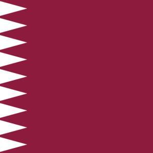 Exposer of Qatari Influence Calls Plane Gift ‘Insult to Democracy’