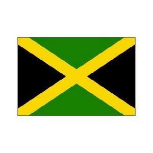 New Fortress completes Jamaica assets sale to Excelerate for $1.05bn