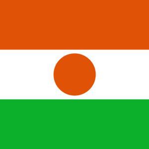What Socio-Political Situation in Niger?