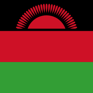 Malawi: 'I'm Back to Rescue Malawi' - Mutharika Declares As He Unveils Jane Ansah As Running Mate