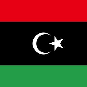 Presidential Council orders ceasefire and suspension of Dabaiba's decisions​​​​​​​​​​​​​​​​