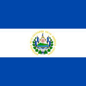 Central Islip brothers who had lived in U.S. for 10 years deported to El Salvador