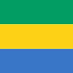 Tullow Oil Agrees $300mn Sale of Gabon Assets to State-Owned GOC