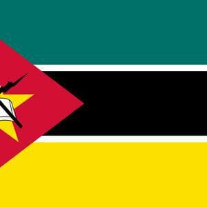 Mozambique: Armed Group's Child Abductions Surge in North